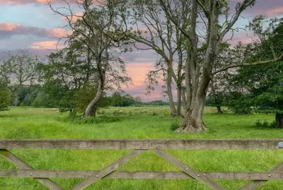 a wooden fence in a field with trees at 1 Bed in Quidenham oc-2233 in Quidenham