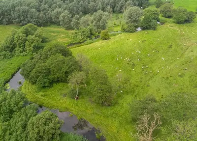 an overhead view of a field with a river and animals at 1 Bed in Quidenham oc-2233 in Quidenham