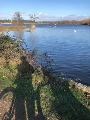 a shadow of a person on a body of water at Willow Barn luxury countryside accommodation in Bury St Edmunds in Bury Saint Edmunds