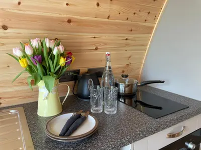 a kitchen counter with a vase of flowers and a sink at Waterpump Pod for 2 adults with ensuite in the Suffolk Countryside in Badingham