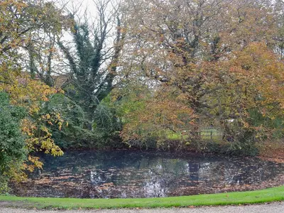 a pond in the middle of a park with trees at The Cottage in Fressingfield