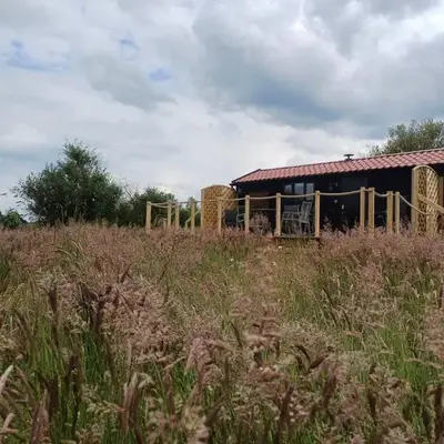 The Cabin