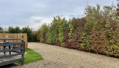 a fence and a bench in front of a hedge at MegaPod 2 at Lee Wick Farm Cottages & Glamping in Clacton-on-Sea