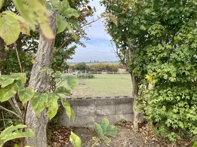 a garden with trees and a field in the background at MegaPod 2 at Lee Wick Farm Cottages & Glamping in Clacton-on-Sea