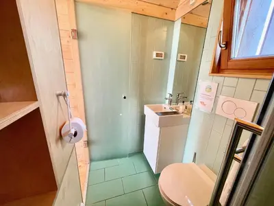 a small bathroom with a toilet and a sink at Lushna 7 Petite at Lee Wick Farm Cottages & Glamping in Clacton-on-Sea