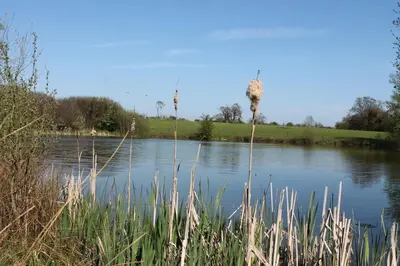 a view of a lake with grass in the foreground at Colston Hall Farmhouse B&B in Framlingham