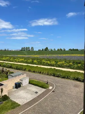 an empty parking lot with a field of flowers at The Top Floor in Stretham