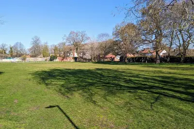 a large shadow of a tree on a field at Oak Tree View - relax, reconnect, explore or work in East Harling