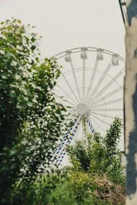 a ferris wheel in the middle of some trees at Pier View Felixstowe - Sea View, 50m from the beach in Felixstowe