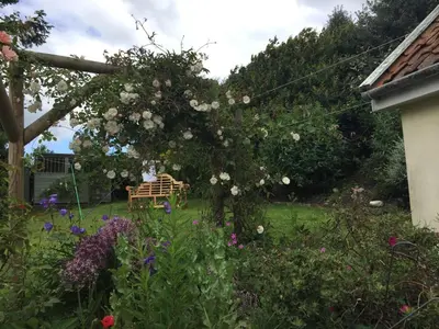 a garden with a pergola with a bench and flowers at Mulleys Cottage (Bed and Breakfast) in Westleton