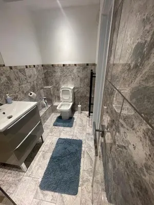 a bathroom with a toilet and a sink and a shower at Beautiful en-suite bedroom in Ipswich
