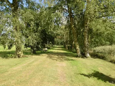 a dirt road in a field with trees at 2 Bed in Norwich oc-64075 in East Harling