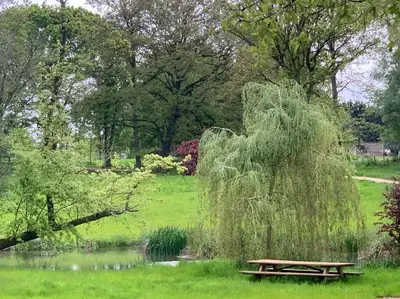 a picnic table in a park next to a pond at Private 2 Bedroom Apartment at Woodland Retreat in Gamlingay