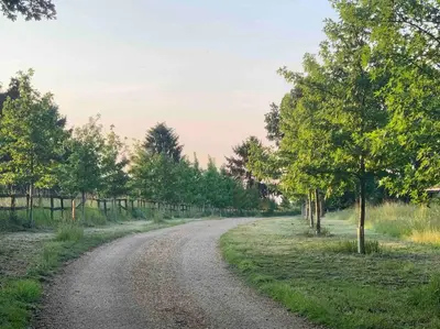 a dirt road with trees on either side at Private 2 Bedroom Apartment at Woodland Retreat in Gamlingay