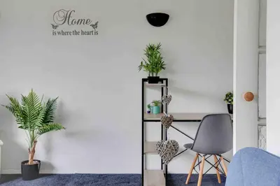 a room with a chair and a shelf with plants at Blackwater Terrace Witham in Faulkbourne