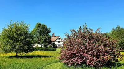 a house in the middle of a field with two trees at The Nook in Halesworth