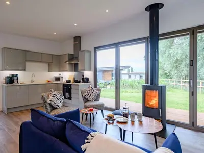 a living room with a couch and a fireplace at 2 Bed in Colchester oc-82398 in East Bergholt