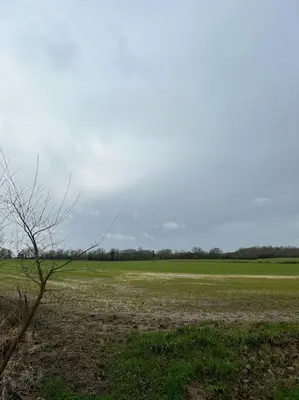 a field with a tree in the middle of a field at A family and dog friendly haven, The Hayloft. in Saxmundham