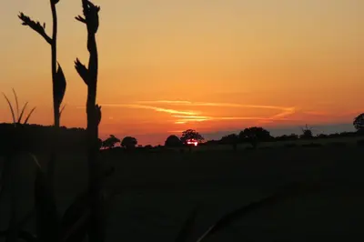 a sunset in a field with a tree in the foreground at Newmans Lodge in Lavenham