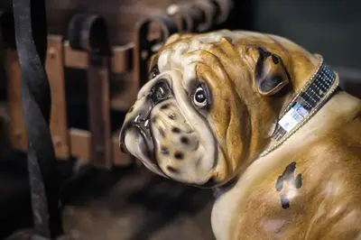a statue of a dog wearing a collar at Luxury 2 Bed Manor House With Hot Tub, Cinema Room, Sky TV in Saffron Walden