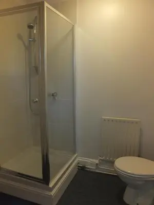 a bathroom with a shower and a toilet at The Red Lion, Stretham in Ely
