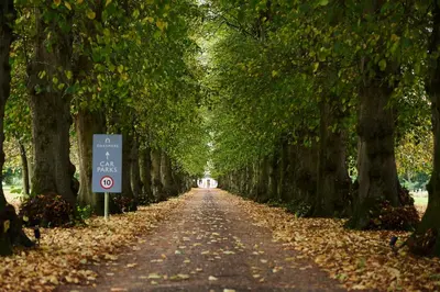 a tree lined road with a sign in the middle at The Oaksmere in Eye