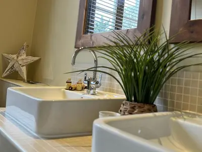 a bathroom with a sink and a plant on a counter at Mulberry Tree in Attleborough