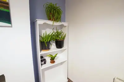 a white shelf with potted plants on it at 3 Bedroom home by Ipswich docks. in Ipswich