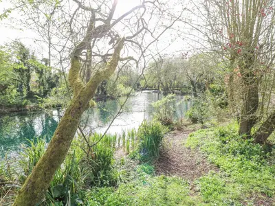 a river in a park with trees and water at Woodpecker Lodge in Langham