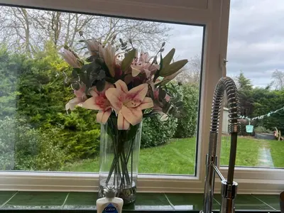 a vase of flowers sitting on a window sill at Cozy 3 bedroom bungalow in rural location in Ashwell