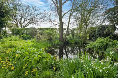 a garden with a pond and trees and flowers at 3 Bed in Rumburgh oc-c27094 in Rumburgh