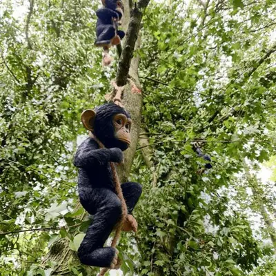 a stuffed monkey sitting on a tree branch at Inviting 1-Bed Cabin in Newmarket in Newmarket
