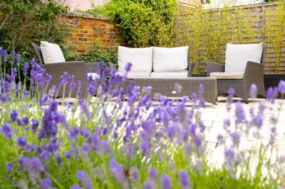 a garden with purple flowers and white pillows at Myrtle Cottage 4 in Friston