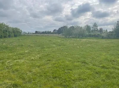 a large field of green grass with trees in the background at Ivy Cottage in Salters lode