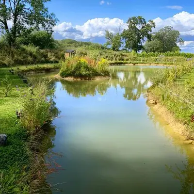 a river in a field with grass and trees at Captivating 1-Bed Cabin in Newmarket in Newmarket