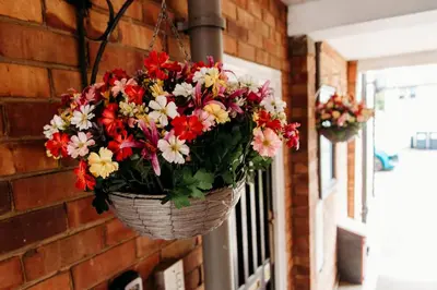 a basket of flowers hanging on a brick wall at Sunny Beachside Apt with Free Parking in Southend-on-Sea