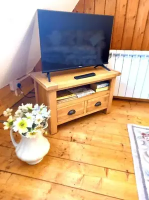 a television on a stand with a vase of flowers at Rustic Retreat Guest Lodge in Littleport