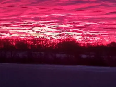 a pink sky with trees in the foreground at Rustic Retreat Guest Lodge in Littleport