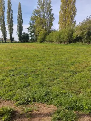 a field of grass with trees in the background at Rocklands Retreat in Rockland Saint Peter
