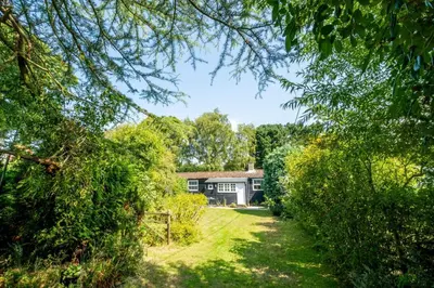 a view of a house through the trees at 6 Uplands in Thorpeness