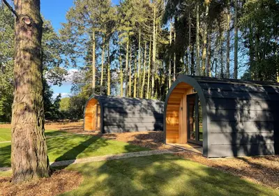 a small house in a forest with a tree at Great Hallingbury Lodges in Hallingbury