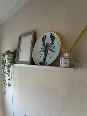 a shelf with a plate on top of a refrigerator at Beatrice homes in Parkeston