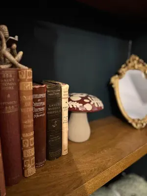 a group of books sitting on a shelf next to a mirror at The Green Scholar's Nook in Cambridge