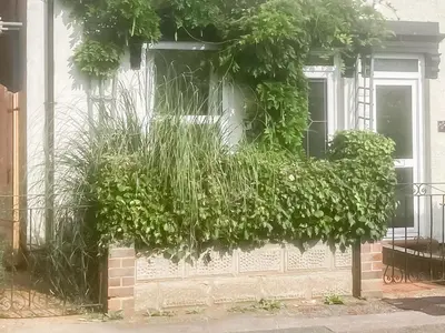 a house with plants on the side of it at Ratcliffe Cottage in Ipswich