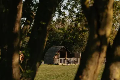 a cabin in a park with trees in the foreground at Maglia Rosso by Wigwam Holidays in Bury Saint Edmunds