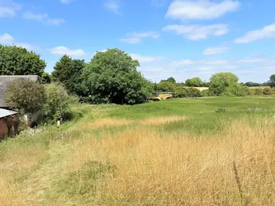 a field of tall grass with a house and trees at River House in Kersey
