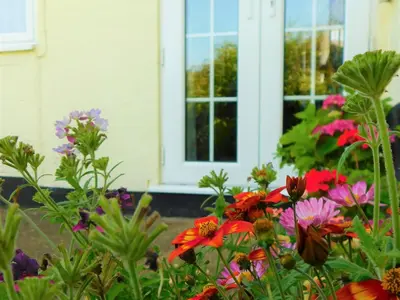 a garden of flowers in front of a house at Greenbank Cottage in Hilgay