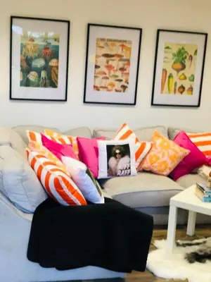 a living room with a couch with colorful pillows at Hertford farm Woodland cabin pet friendly firepit bbq in Hertford
