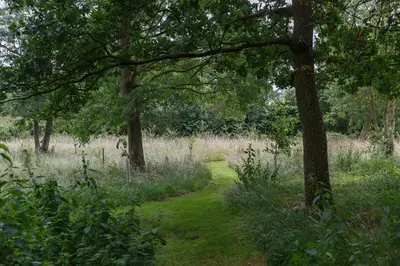 a path through a field with trees and grass at 4 Bed in Saham Toney oc-o30348 in Saham Toney