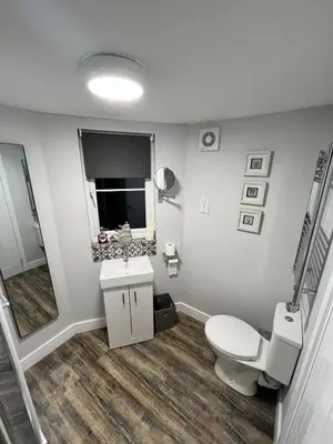 a bathroom with a toilet and a sink and a mirror at Brightons view in Saxlingham Thorpe